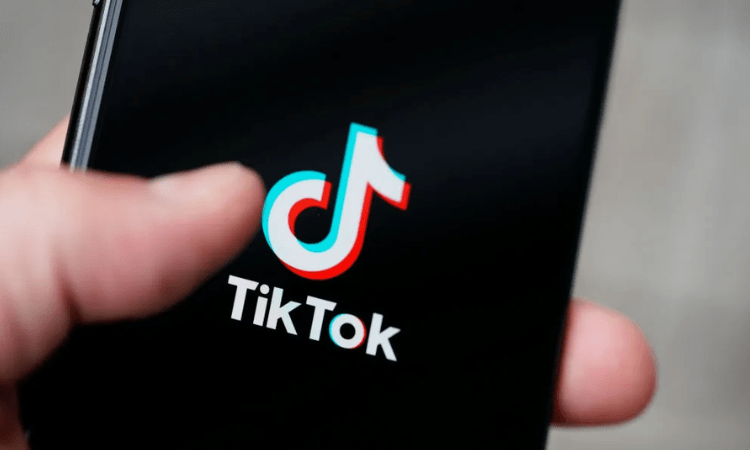 TikTok tells European users its staff in China can access their data