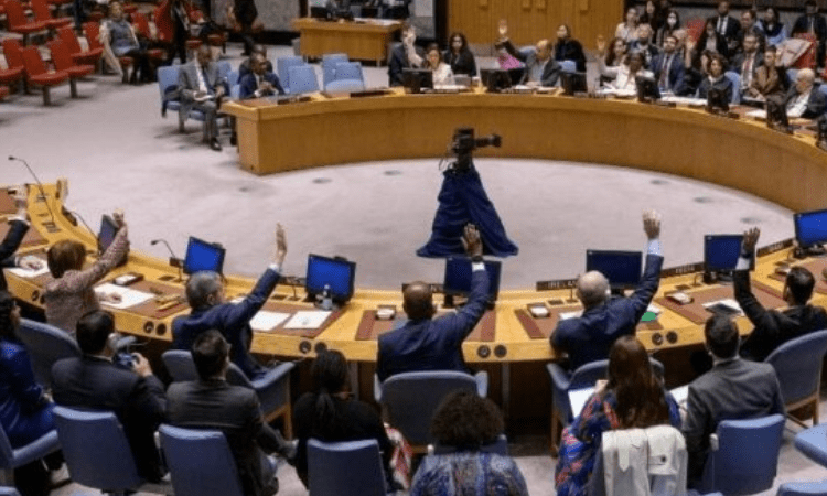 UNSC elects judge to International Court of Justice