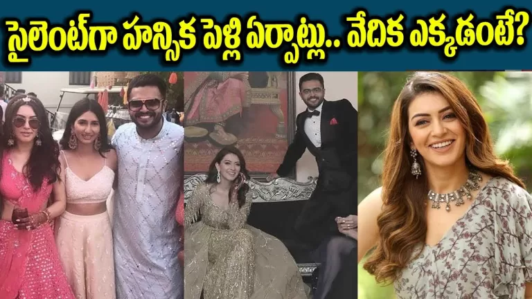 Actress Hansika Motwani with Her Fiance First Photos | Hansika Marriage News Lattest | TeluguBullet