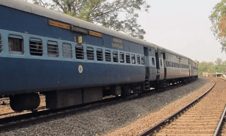 90 sheeps, 8 vultures die after being hit by train in UP