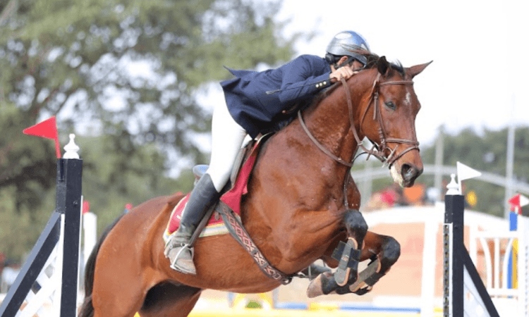 Shlok Jhunjhunwala, Zrey Dodhy emerge champions in Jr National Equestrian