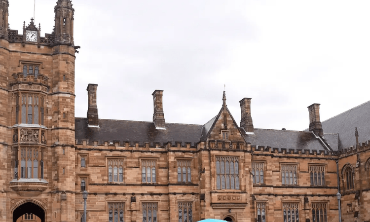 Universities call for Australian migration reset