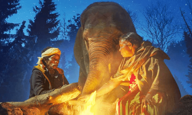 95th Oscar Nominations: ‘The Elephant Whisperer’ makes it to Short Film list