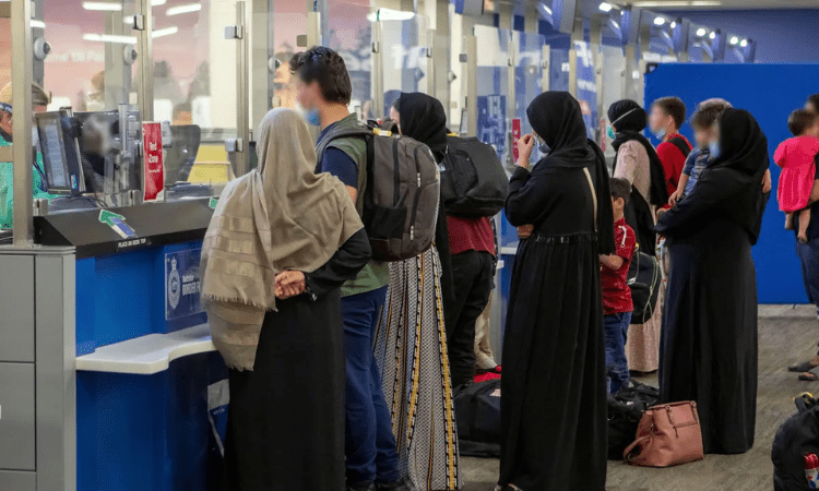 Australian businesses call to boost migrant intake