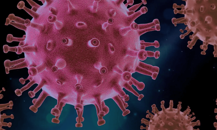 US experimental HIV vaccine regimen safe but ineffective: Study