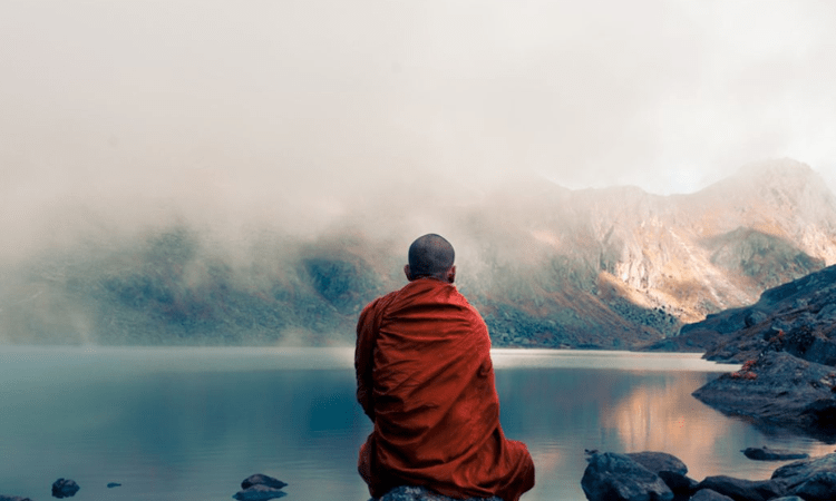 Meditation alters gut microbes in Buddhist monks for better mental health