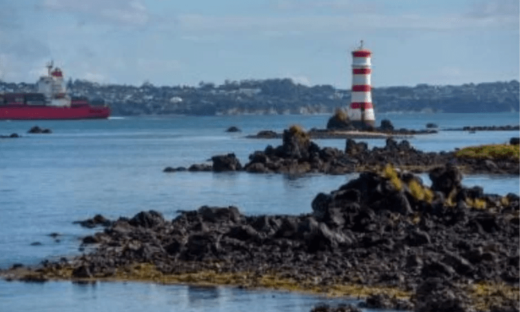 Record rainfall overnight in Auckland causes massive flooding