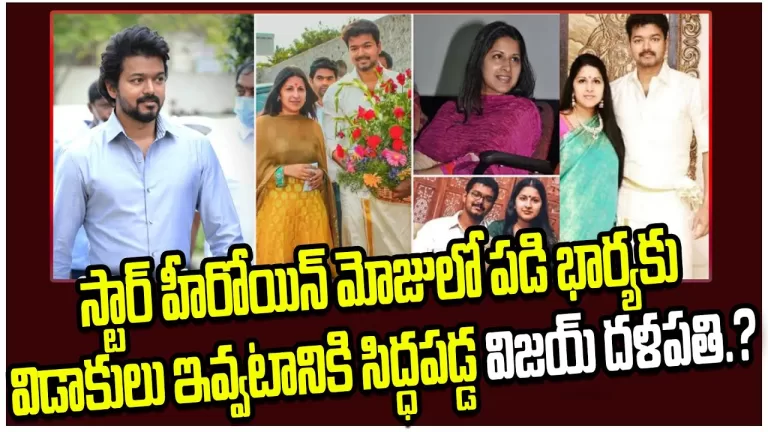 Thalapathy Vijay & Sangeetha Getting Divorce | Justice For Sangeetha | Vijay Dalapathy |TeluguBullet