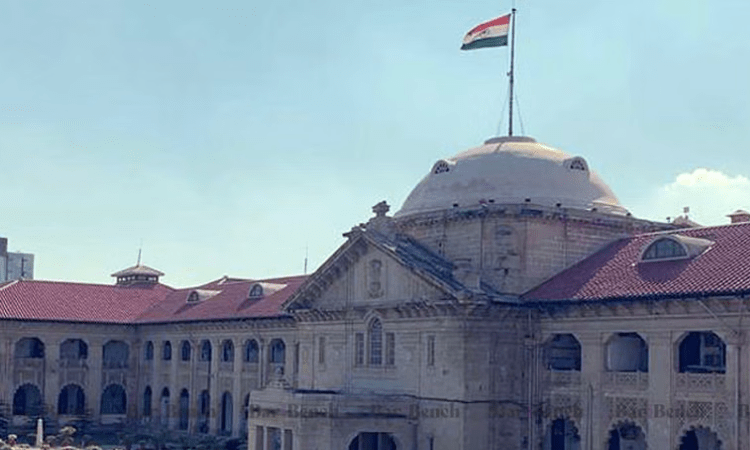 Allahabad HC declines to order killing of birds, dogs