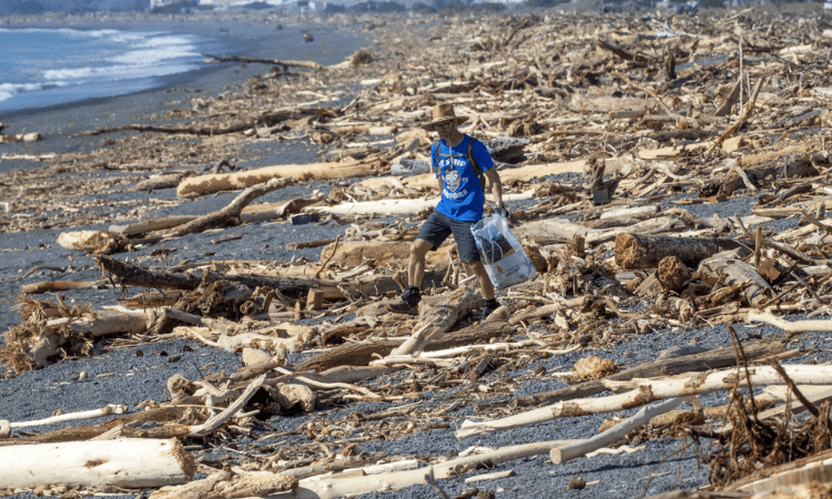 New Zealand creates new recovery visa to support cyclone, flooding rebuilding