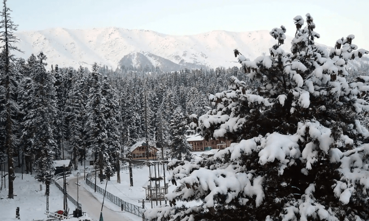Scattered light rain, snow in Kashmir