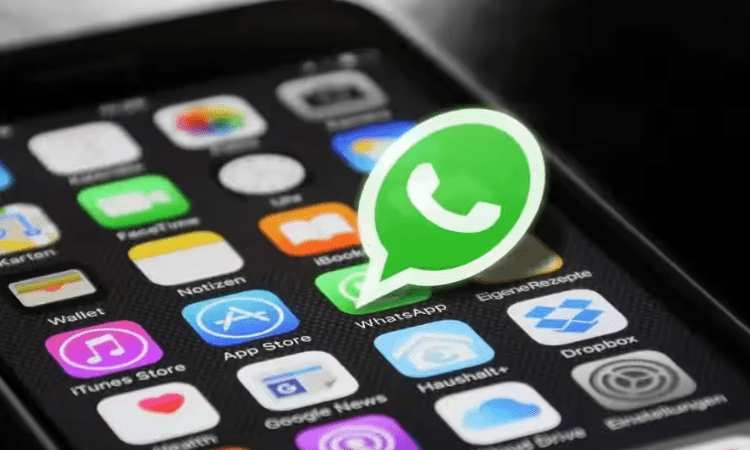 WhatsApp now lets users report status updates on iOS beta