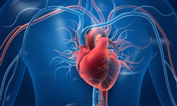 CSI to launch digital platform for heart patients