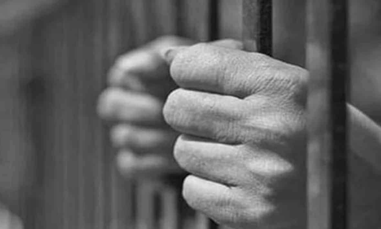 Indian sentenced in US for distribution of child sexual abuse material