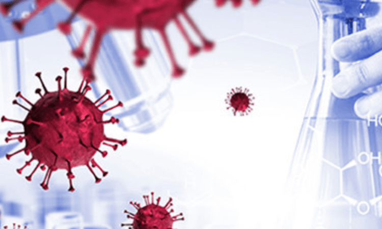 Scientists call for finding future viral threats to human health