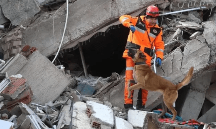 UN continues to provide quake-related aid to Syria, Turkey