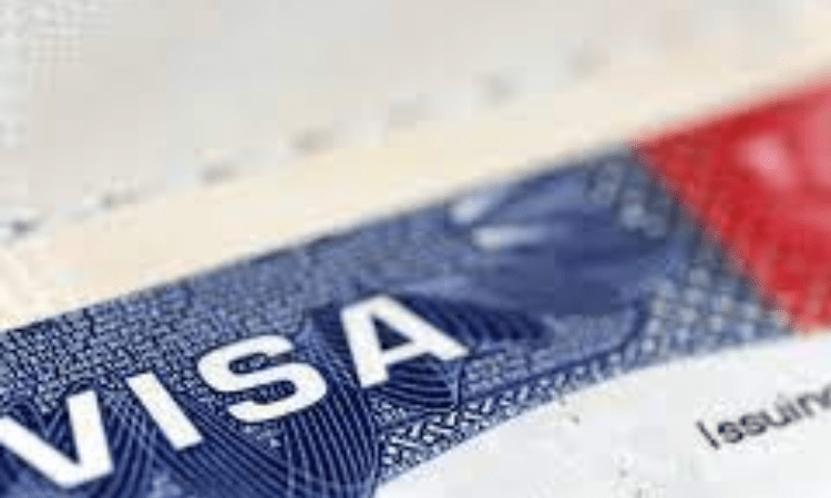 Visa applications from Delhi reach 80% of pre-pandemic levels
