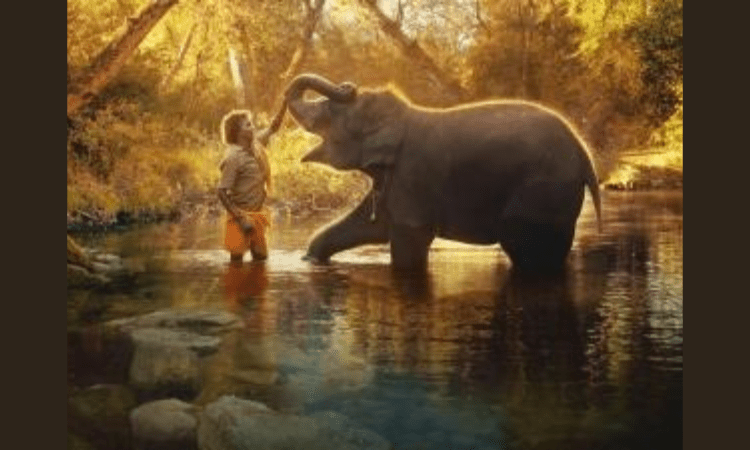 When ‘The Elephant Whisperers’ director met Raghu, he had no control over his trunk