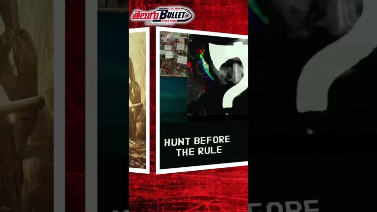 Where is Pushpa? | Hunt before The RULE #pushpa #alluarjun #sukumar #rashmikamandanna #shorts #viral