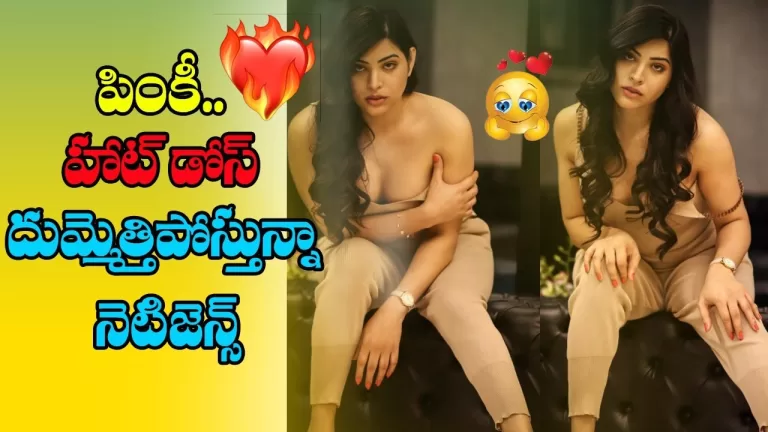 Bigg Boss Priyanka Singh BOLD Photoshoot Photos Goes Viral & Netizens Fire On Photos | Telugu Bullet