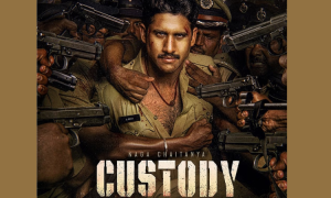 1st Day Box Office Collection of the Movie Custody
