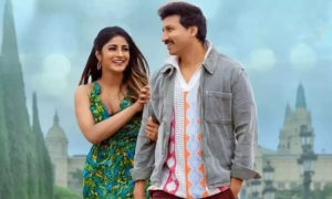 Review of Ramabanam A Complete Family Entertainer-1