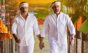 Review of Ramabanam A Complete Family Entertainer