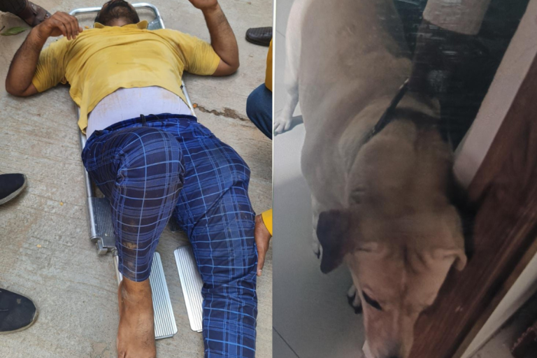 Delivery boy jumps of building to escape dog attack