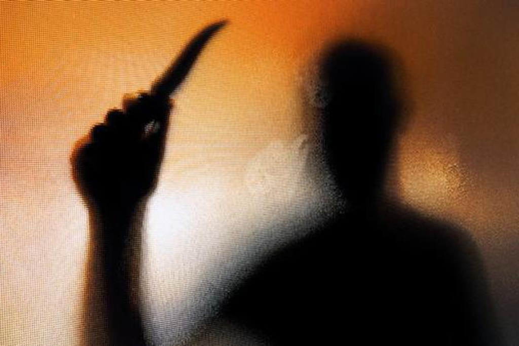 Indo-Canadian Sikh admits stabbing wife to Death