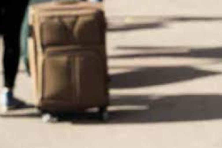 Woman kills mother, brings body in bag to police station