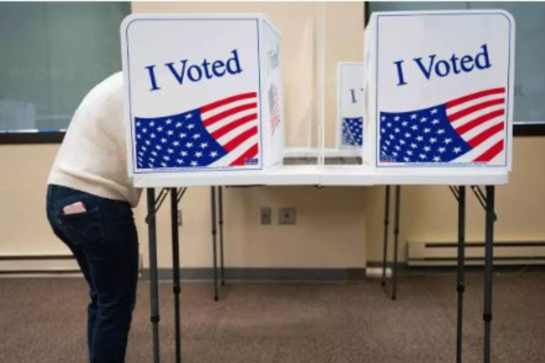 Two Indian Americans win Democratic primaries in Virginia