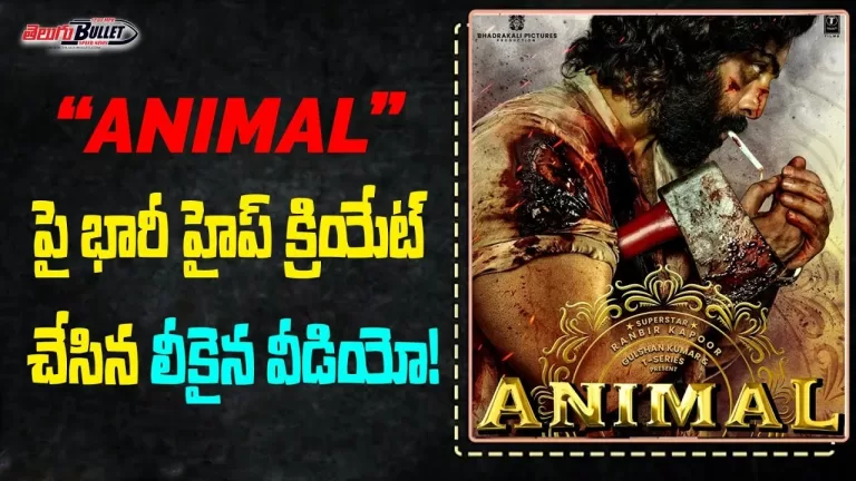 Animal Looks Leaked! | Animal Teaser Release Date | Animal Latest Update | Bollywood | TeluguBullet