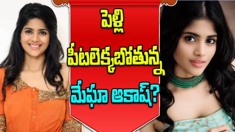 ఆ రాజకీయ నేత కుమారుడితో మేఘా ఆకాశ్‌ పెళ్లి | Megha Akash Marriage News | Bollywood | Telugu Bullet