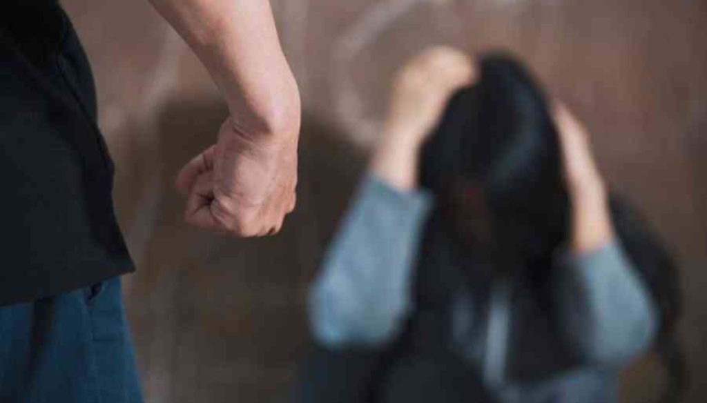 Australia established a domestic violence task force