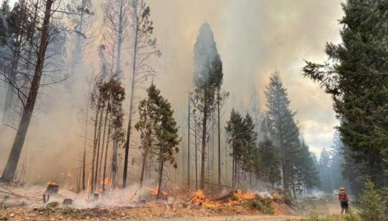 The Canadian Army airlifts several people away from the blaze