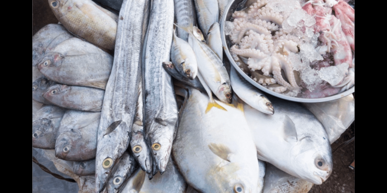 Andhra Pradesh Generates 5 Million Metric Tons of Fish