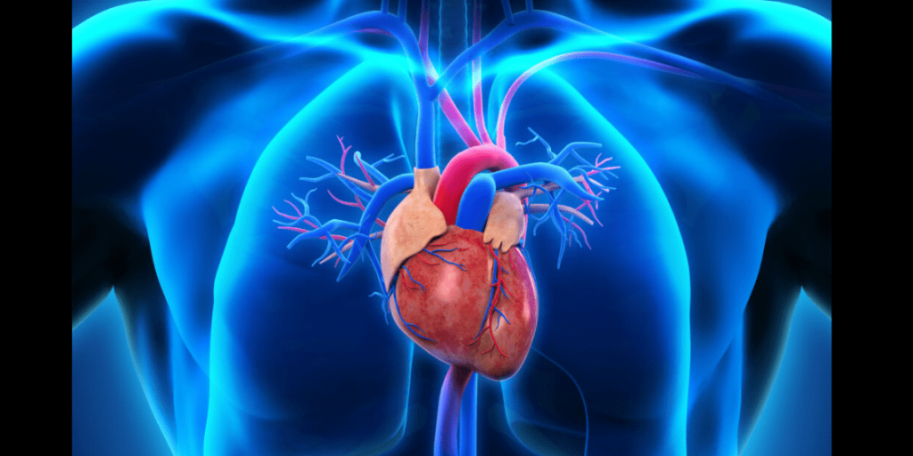 collector reports increased incidence of heart ailments post covid-19