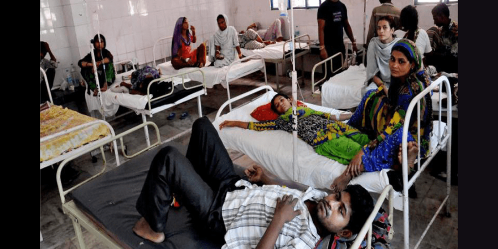 dengue cases raised in warangal in telangana