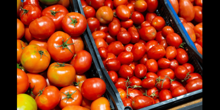 Tomatoes Now Selling at Just Rs 4 Per Kg
