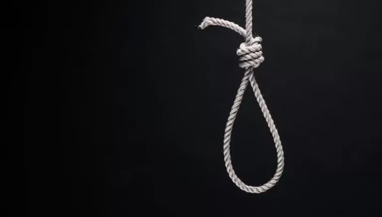 Mother and pregnant lady commit suicide