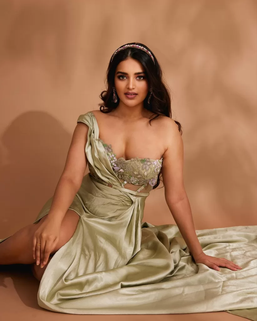 nidhi agerwal latest photos