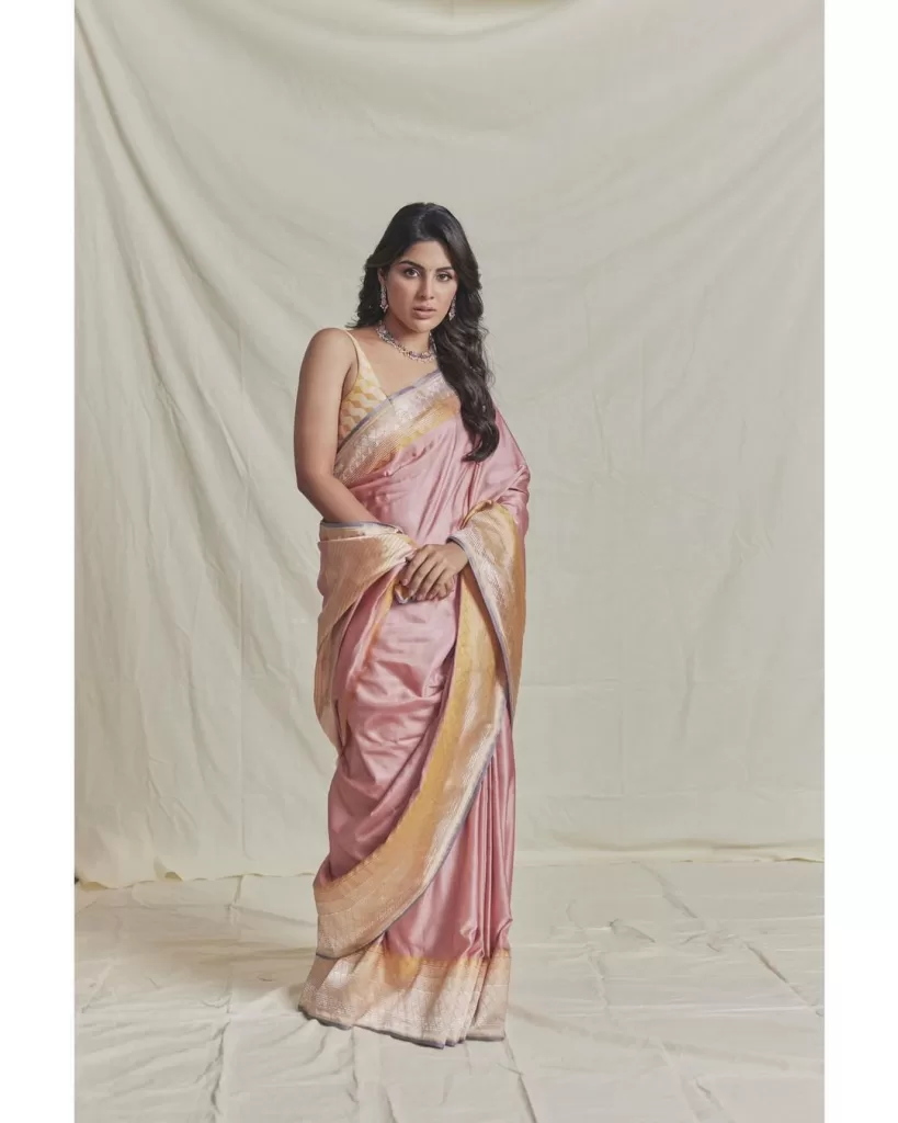 samyuktha menon saree photos