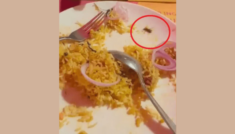 Unwelcomed Guest: Dead Cockroach Found in Biryani at Jubilee Hills