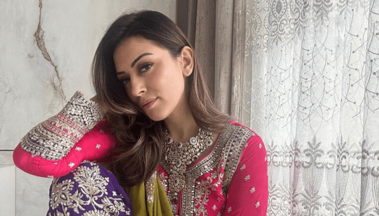 Hansika Motwani Latest Photos | Looks Beautiful in Colorful Outfit