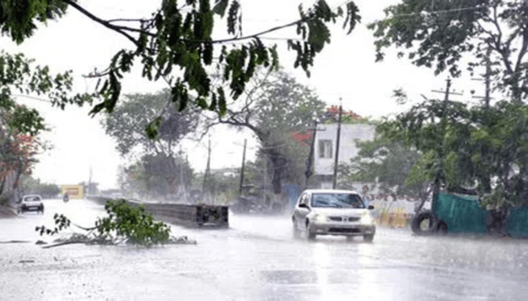 Hyderabad Rains: Power Woes and Infrastructure Damage