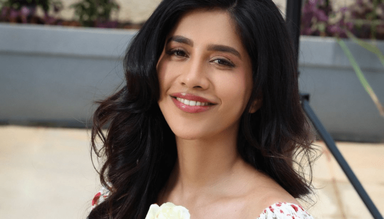 Nabha Natesh dazzles us again.