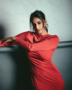 meenaakshi chaudhary 