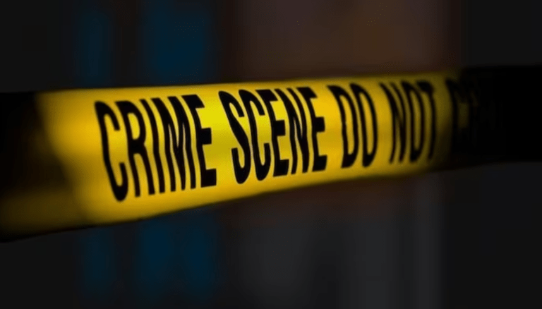 Shadnagar Tragedy: Man Killed Wife Over Domestic Dispute