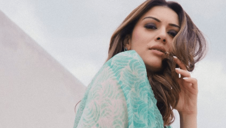 Hansika Motwani is a vision of grace and style!