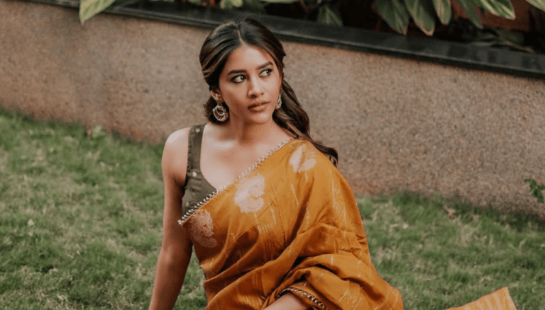 Nabha Natesh looks like a dream!